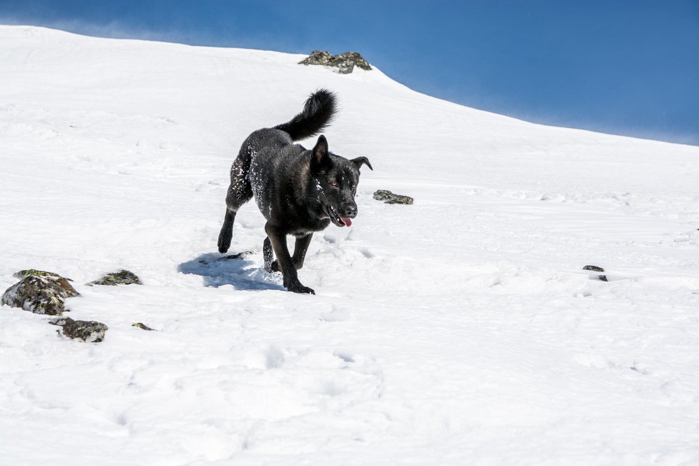 Photograph by Евгений Антонов