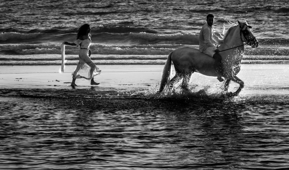Photograph by Sax
