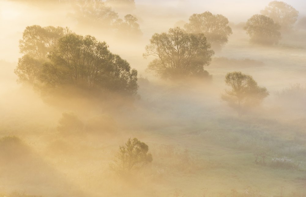 Photograph by Дмитрий Новоселов