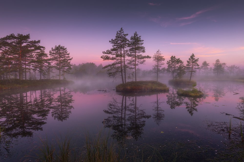 "В плену болотных озер"