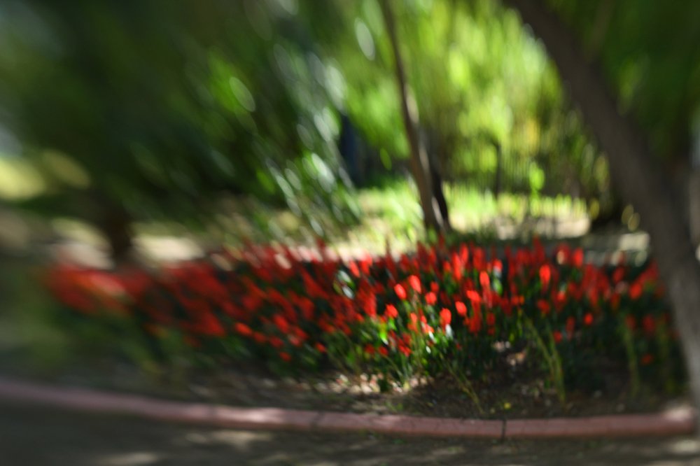 Photograph by Tatyana