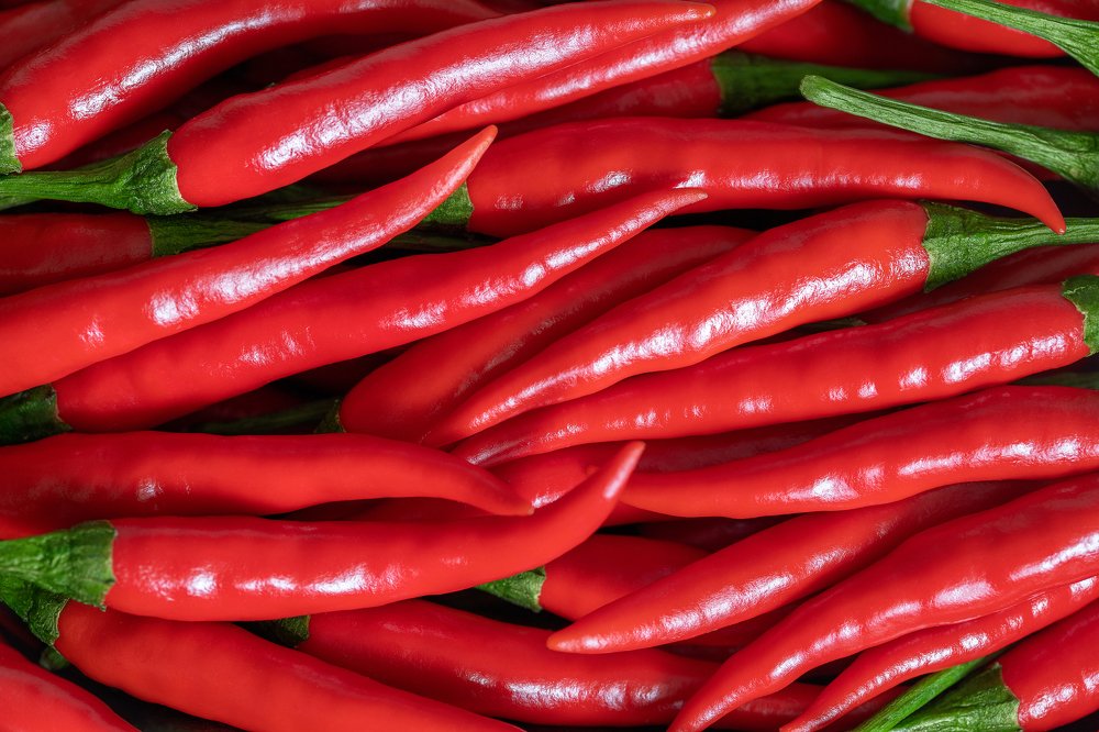 Photograph by Марина Багрова