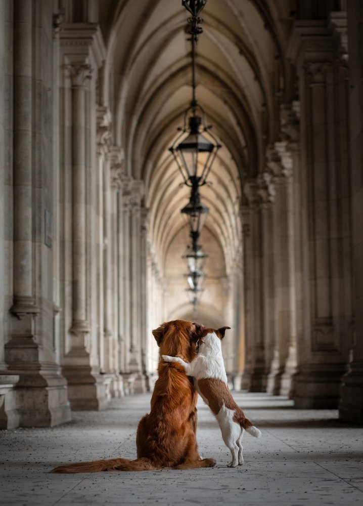 Photograph by Анна Аверьянова