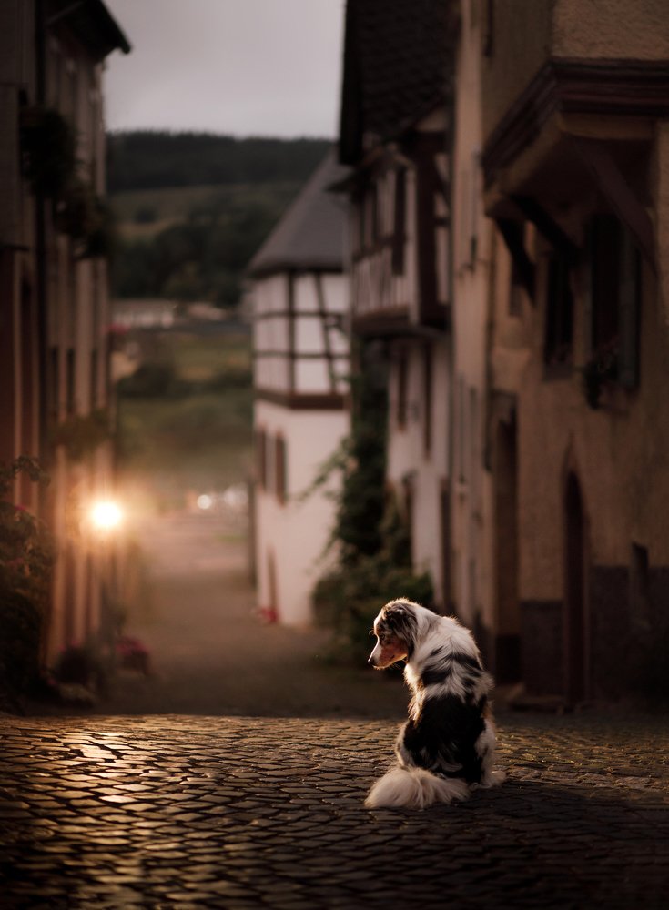 Photograph by Анна Аверьянова