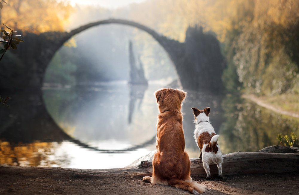 Photograph by Анна Аверьянова