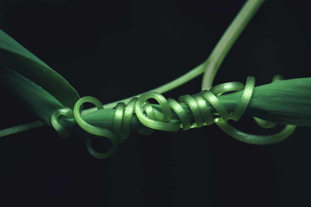 Photograph by Логинов Сергей