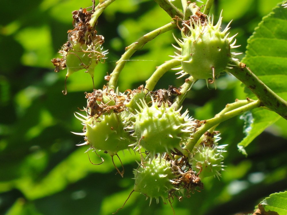 Photograph by Arkady Sandler