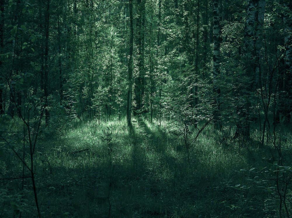 Photograph by Логинов Сергей