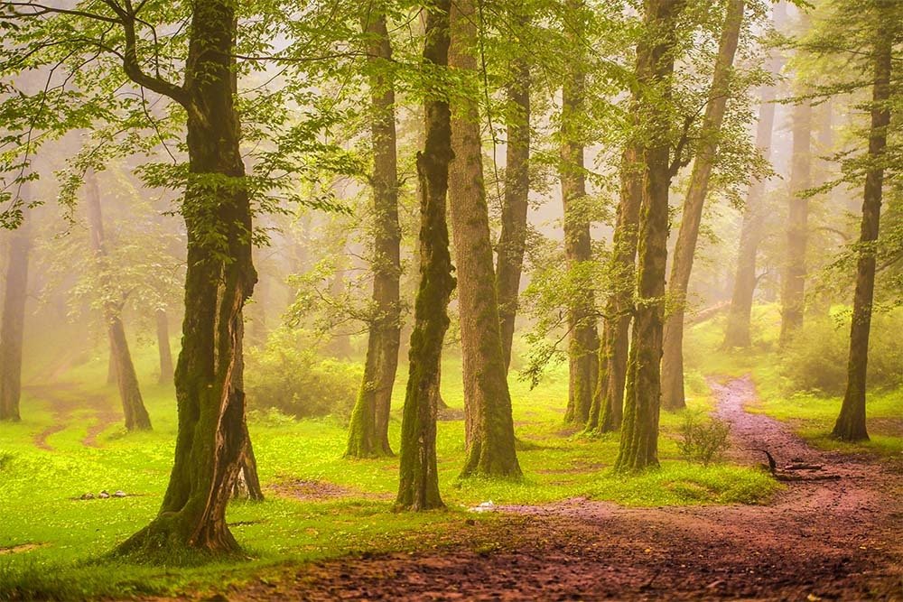 Photograph by mehdi yaghoobi