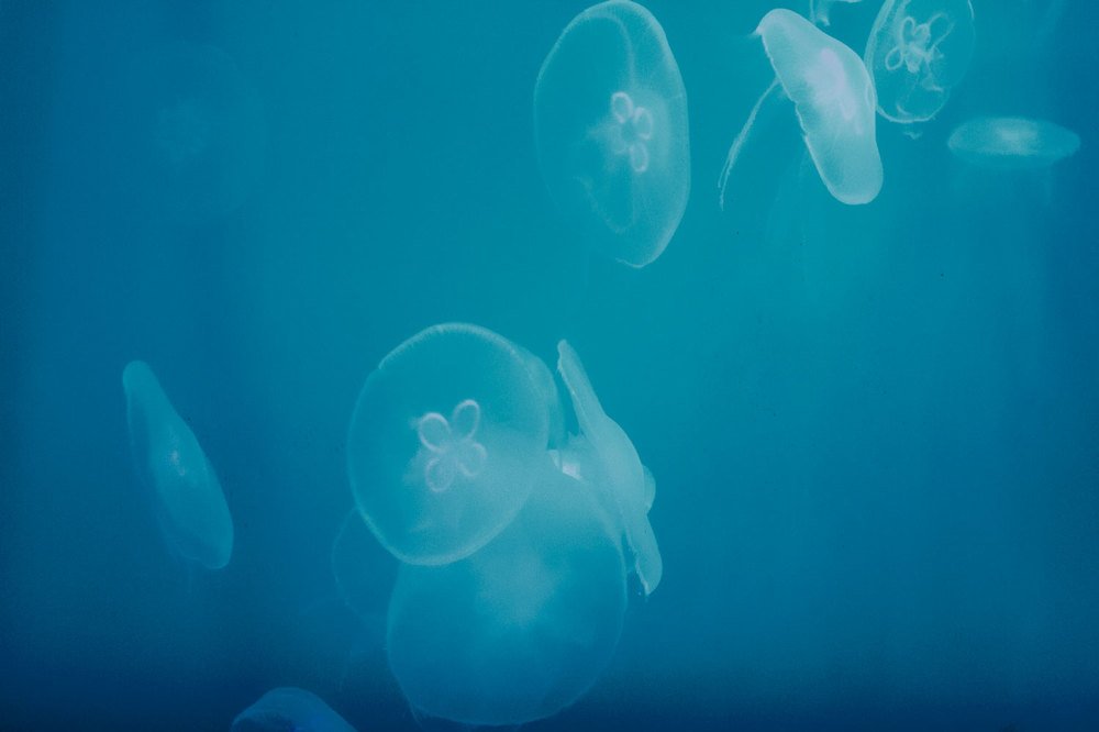 Photograph by Игорь Майоров