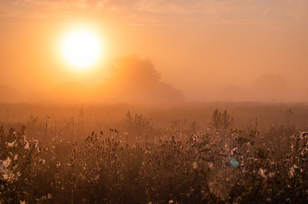 Photograph by Евгений Новицкий