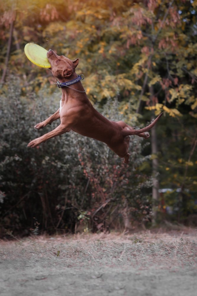 Photograph by Галина Ледок