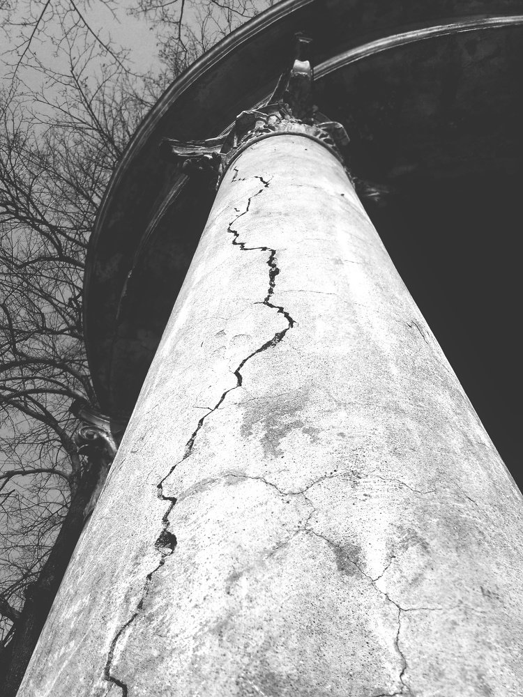 Photo #3669233
