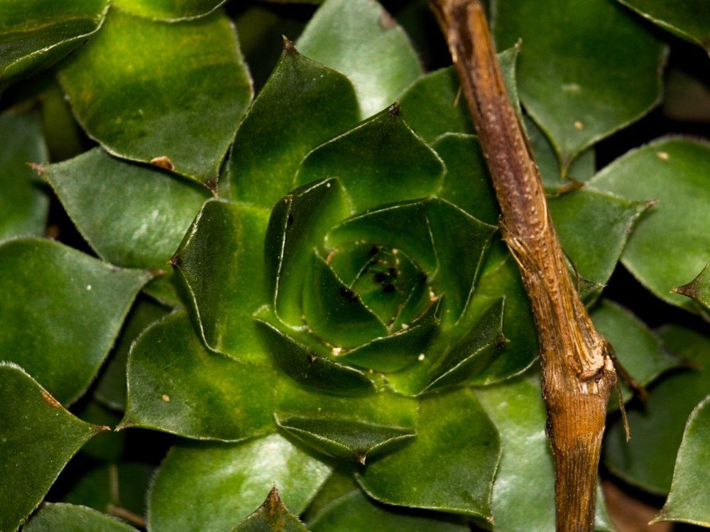 Фотография автора Ivana Kolenc