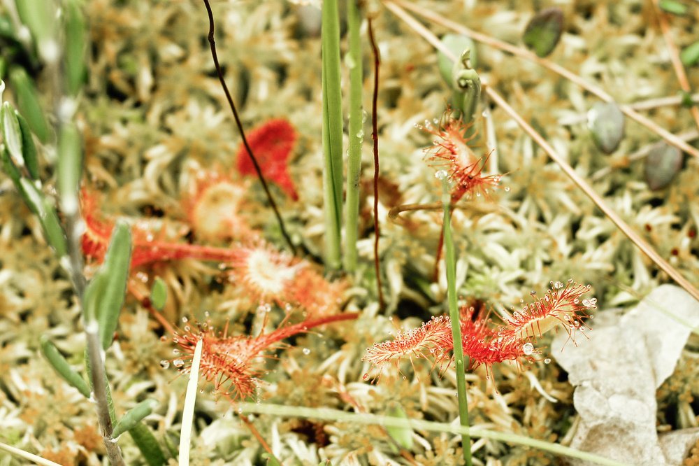 Photograph by Сергей Забиякин