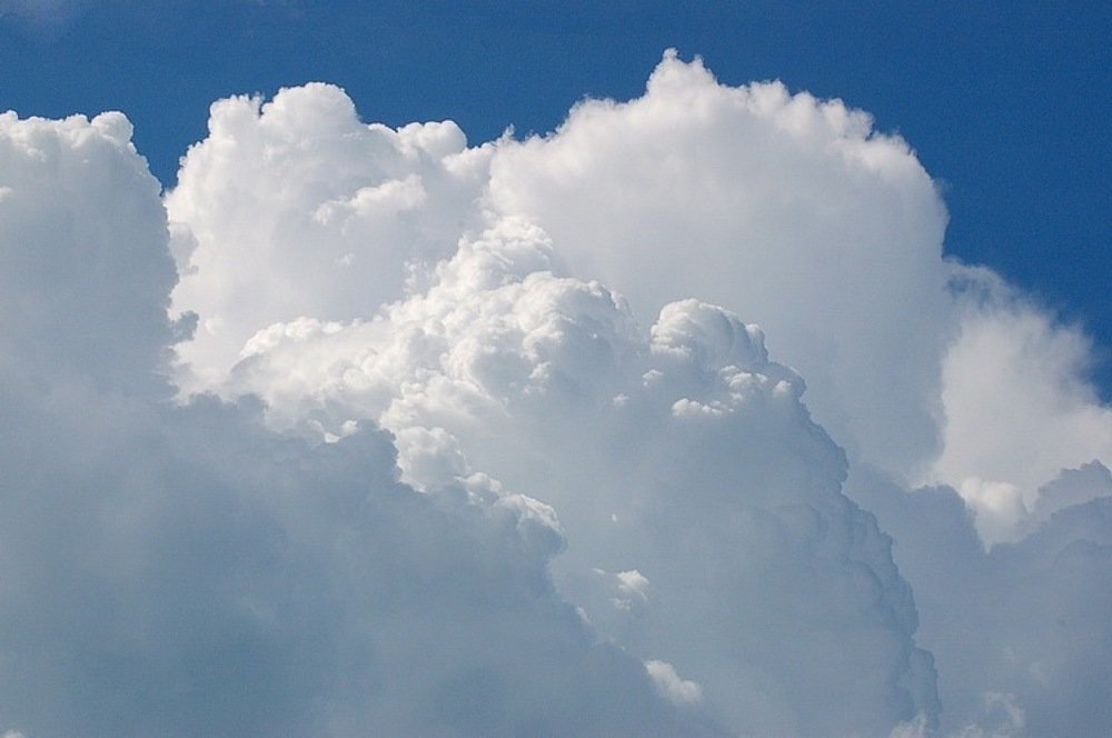 Сахарная вата