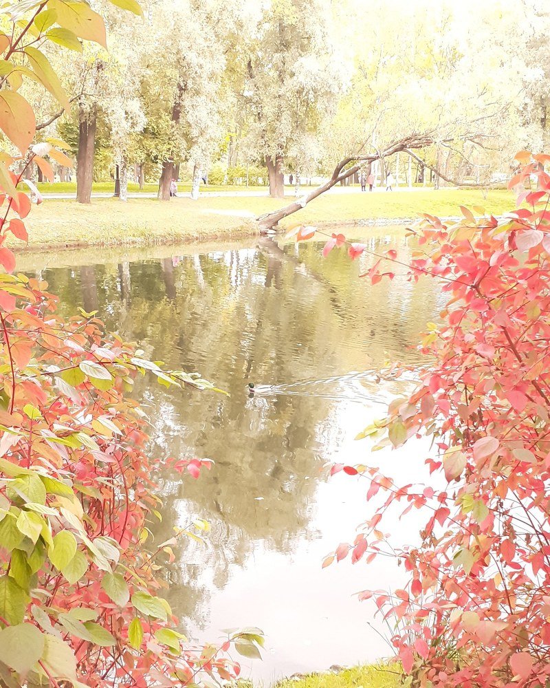 Photograph by Ирина Копанева