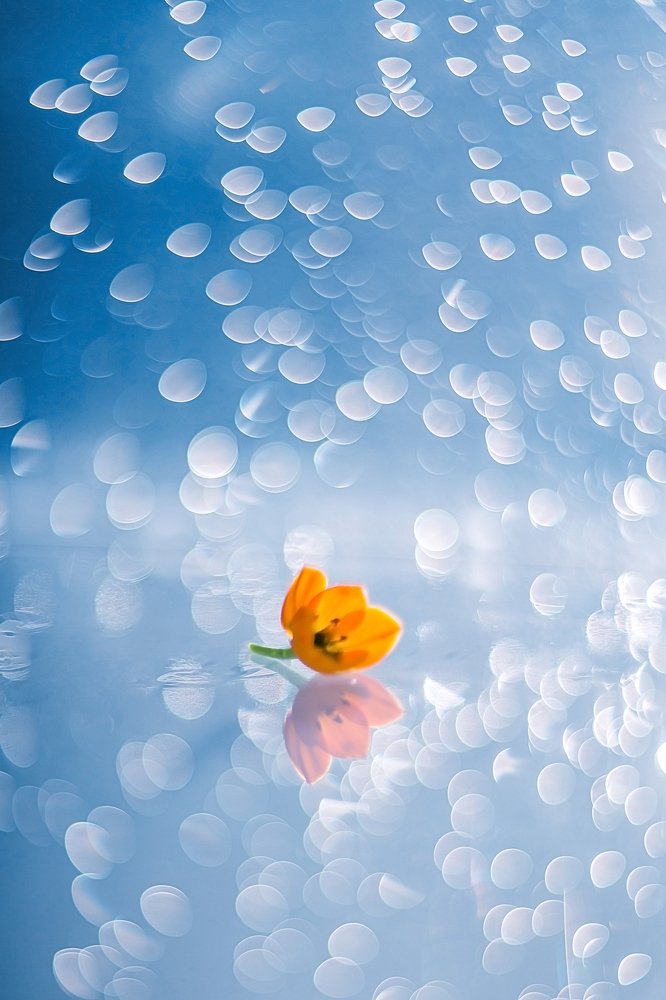 Photograph by Лилия Павлова