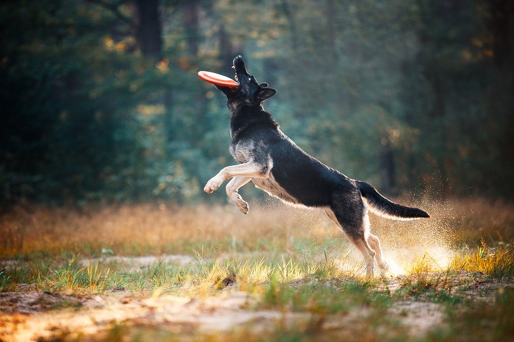 Photograph by Дарья Лазарева