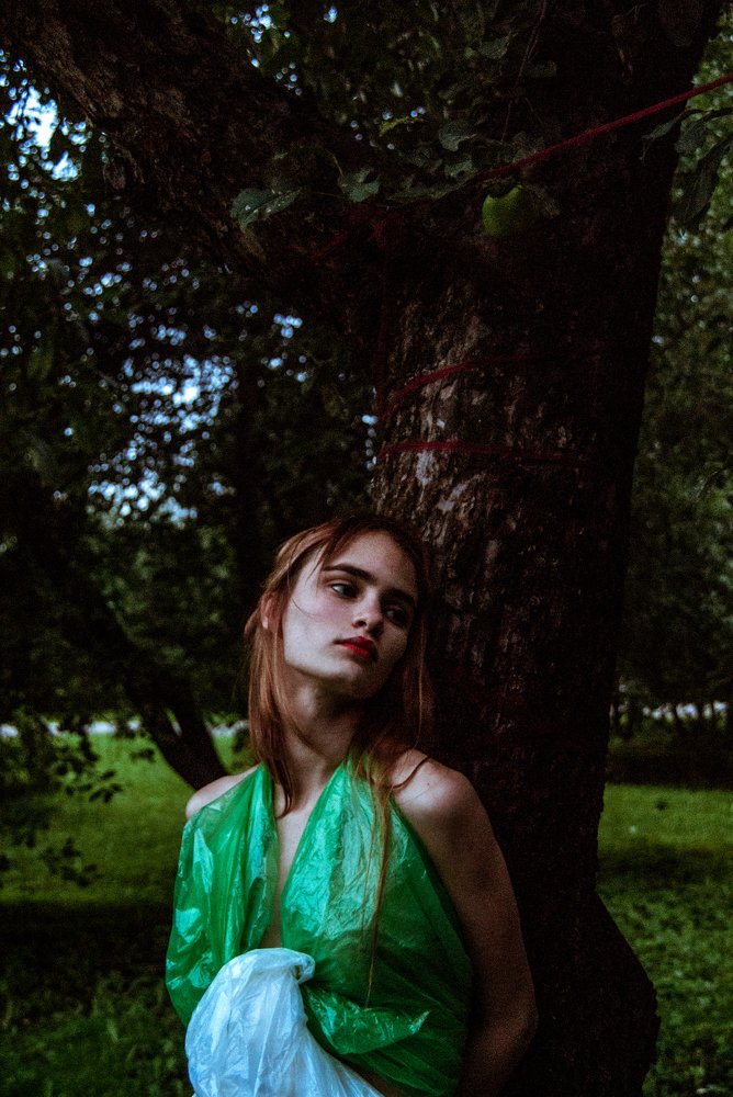 Photo #3669431