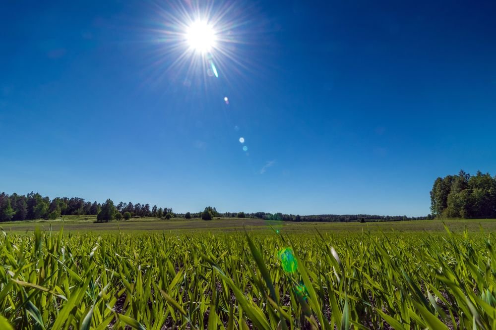 Photograph by Andrey Lesnik