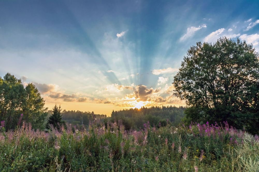 Photograph by Andrey Lesnik