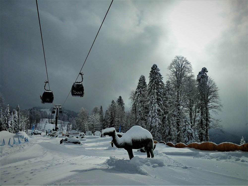 Photograph by Антонина Владимировна Завальнюк