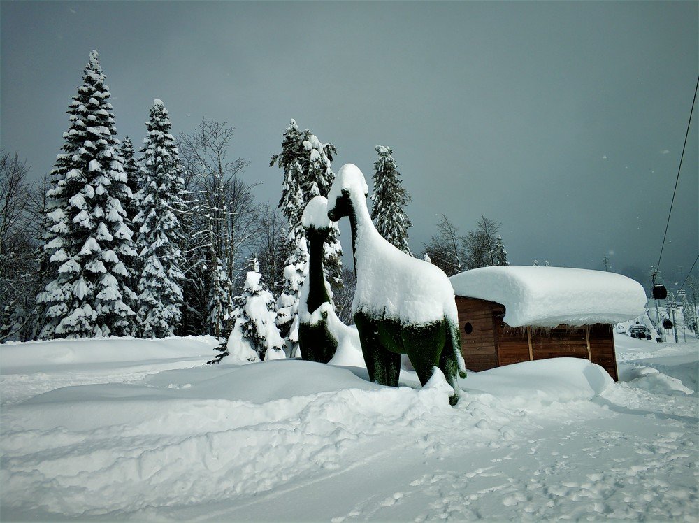 Photograph by Антонина Владимировна Завальнюк