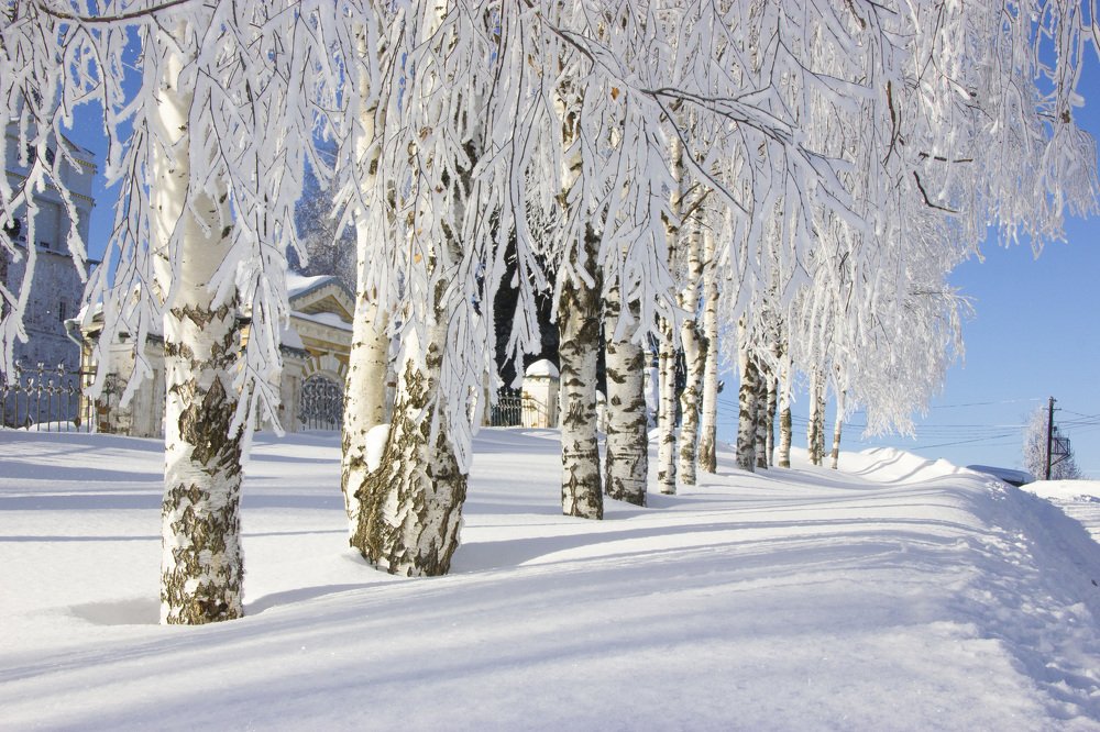 Photograph by Юрий Упаловский