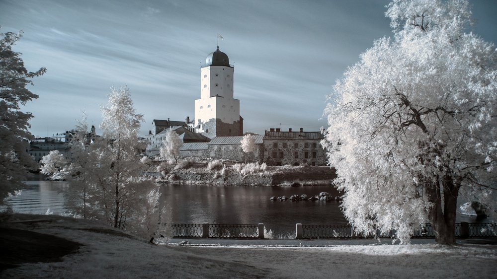 Photograph by Andrey Lesnik