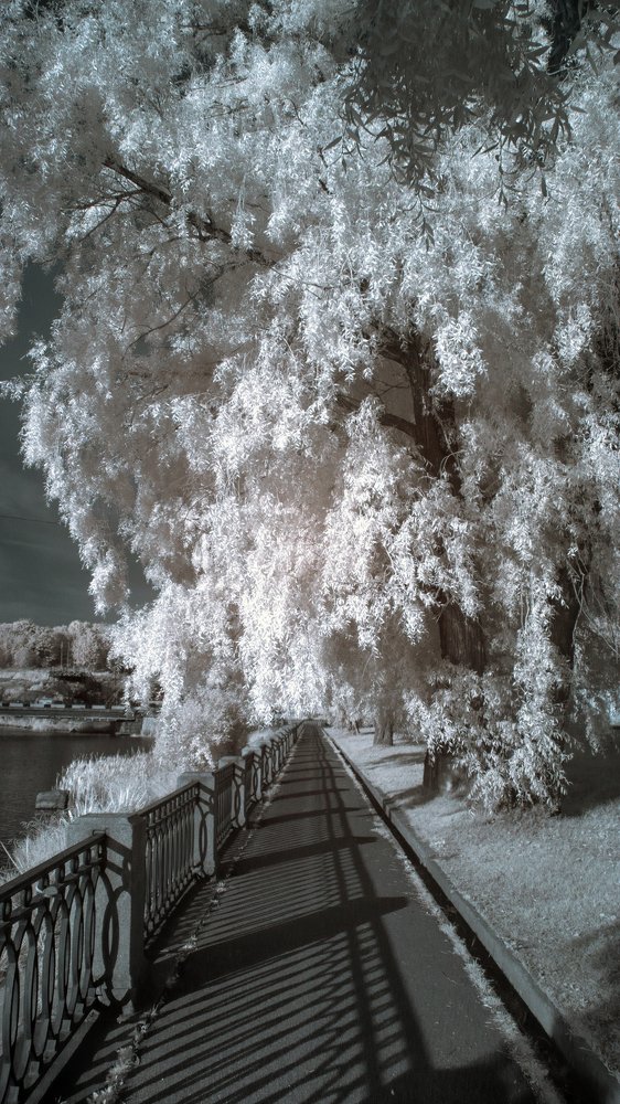 Photograph by Andrey Lesnik