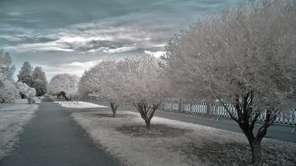 Photograph by Andrey Lesnik