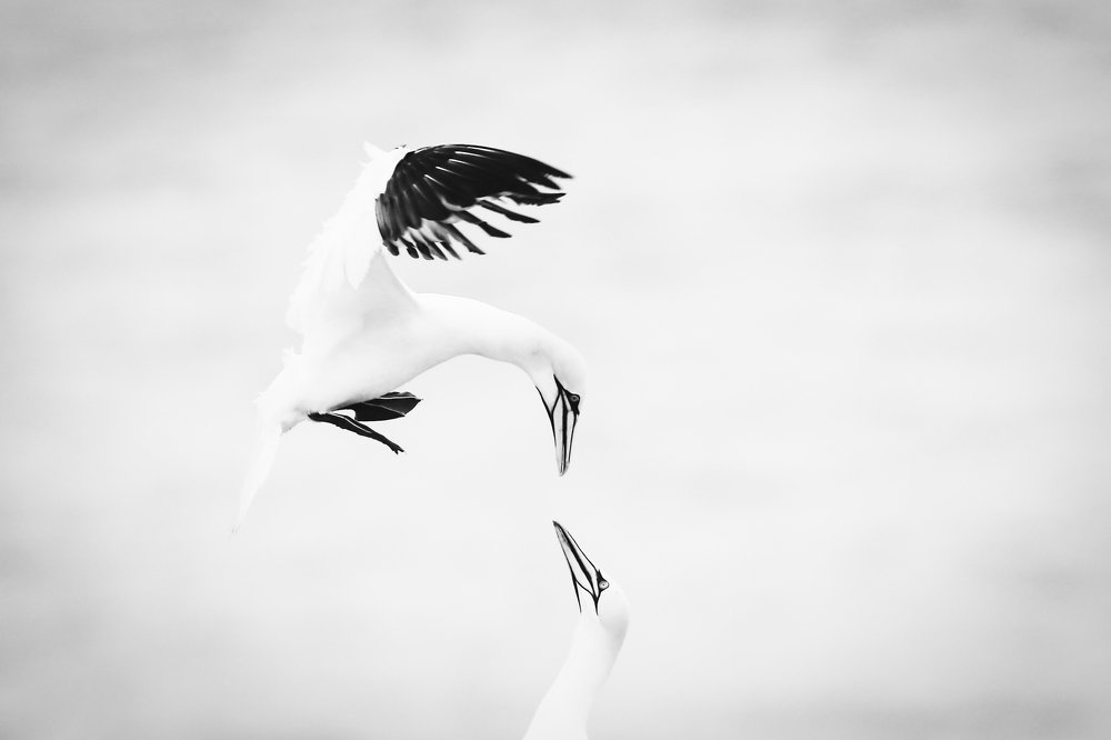 Photograph by Piotr Warzecha