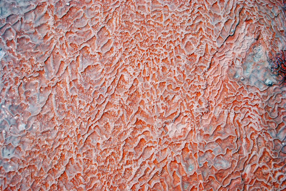 Фотография автора Анастасия Пищулова