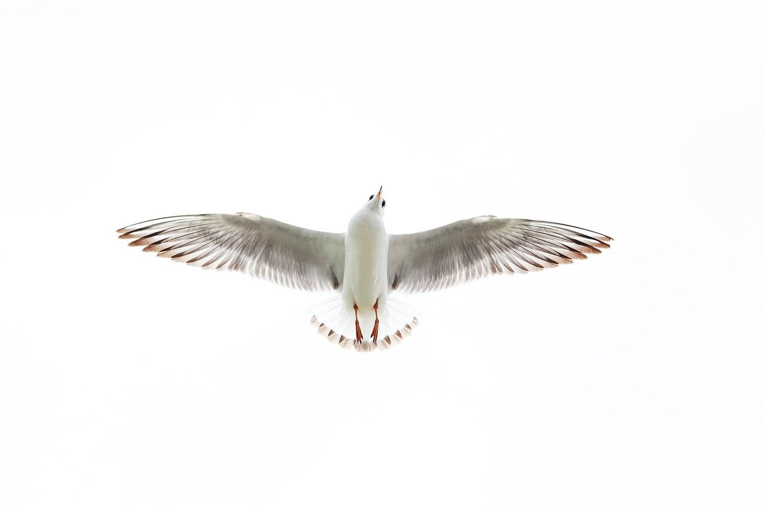 Фотография #3669719