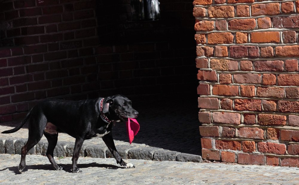 Photograph by Наталья Шалкевич