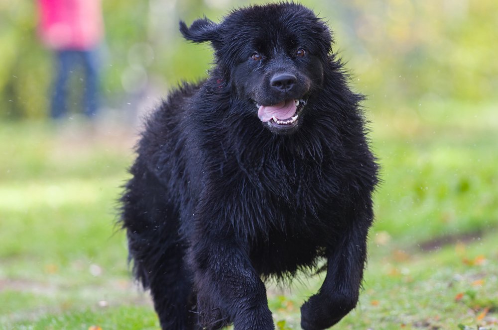 Photograph by Вячеслав Криволуцкий