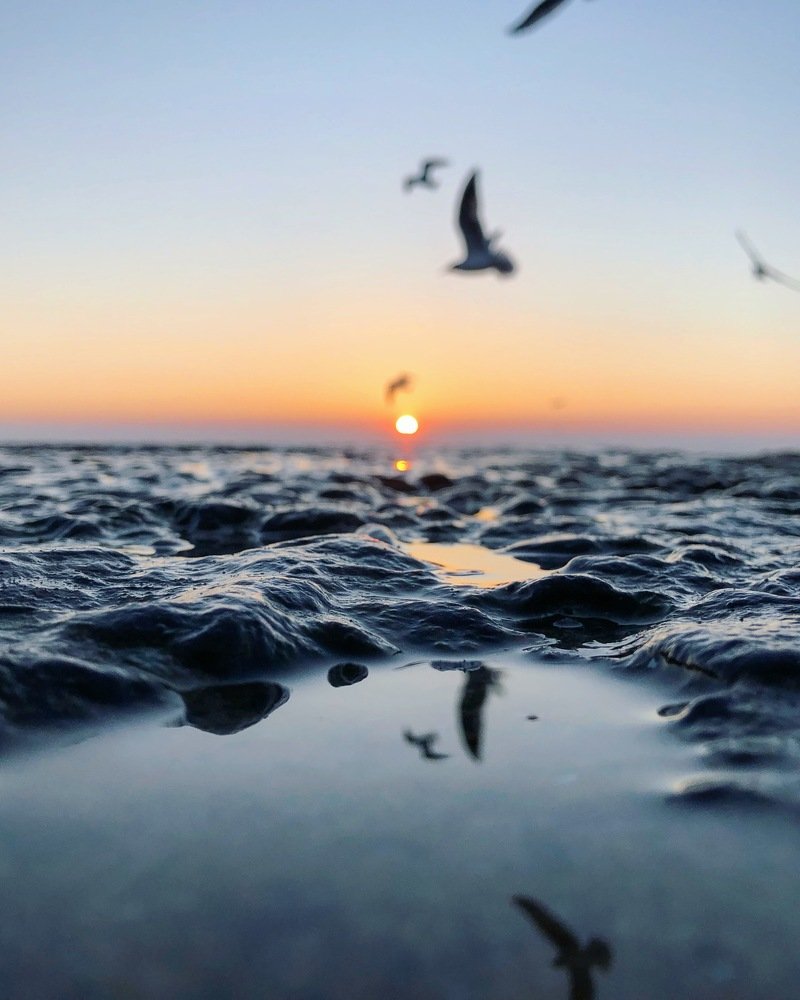 Утро у моря