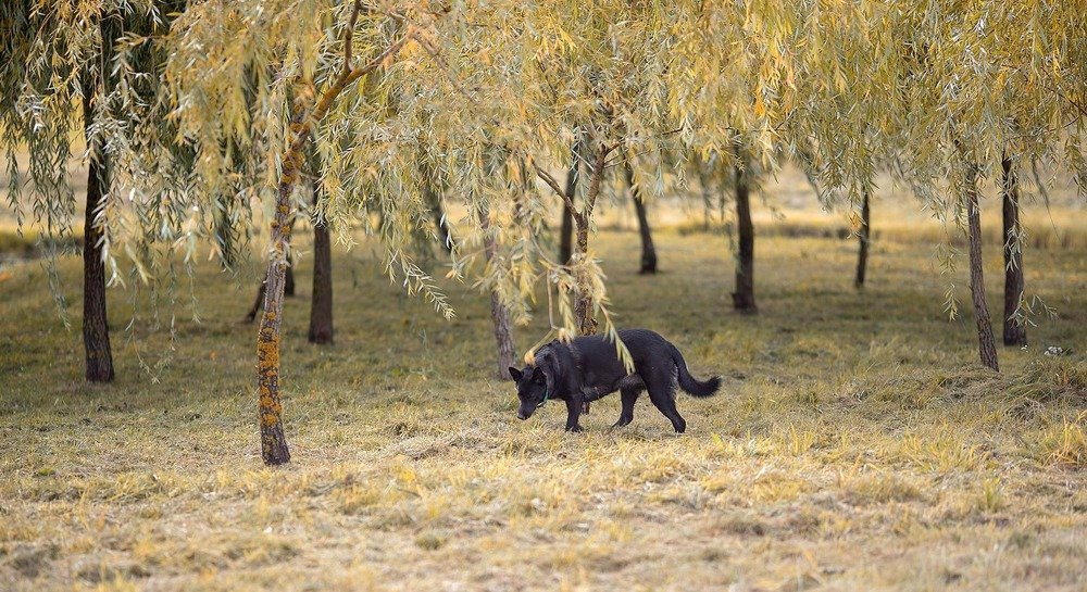 Photograph by Наталья Шалкевич