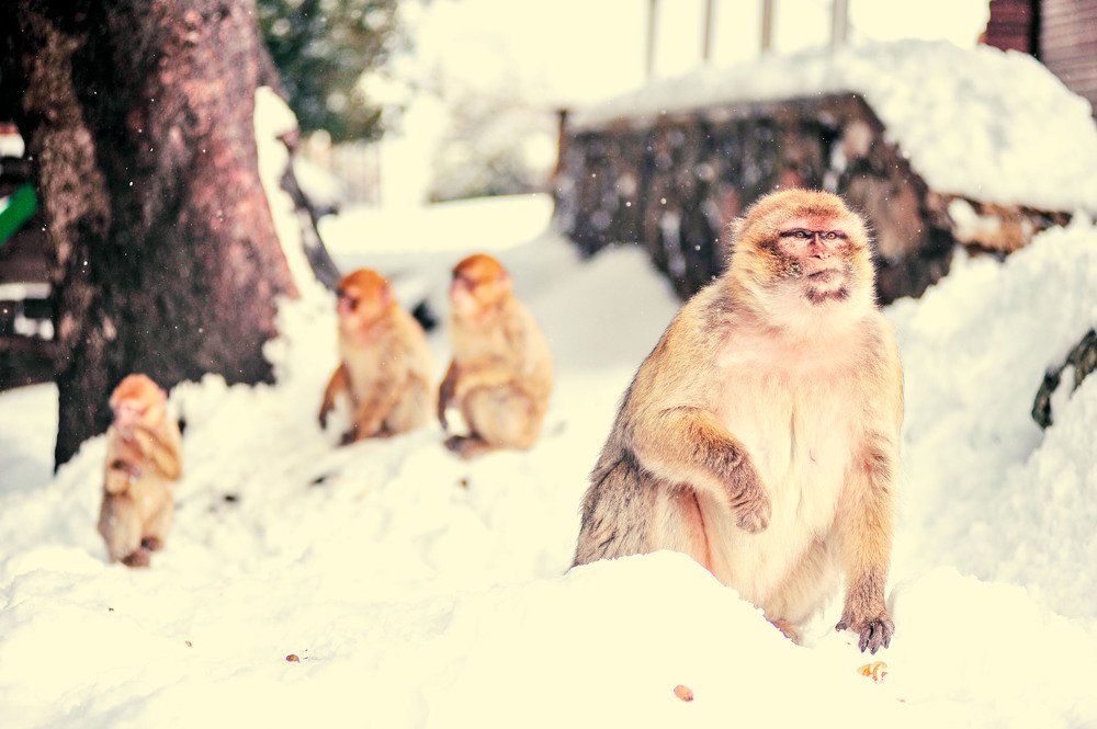 Photograph by abdelilah said