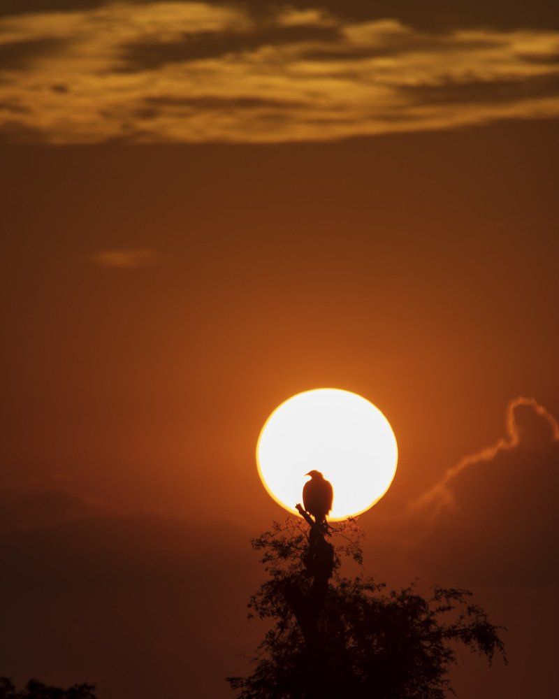 Фотография автора hitesh chawla