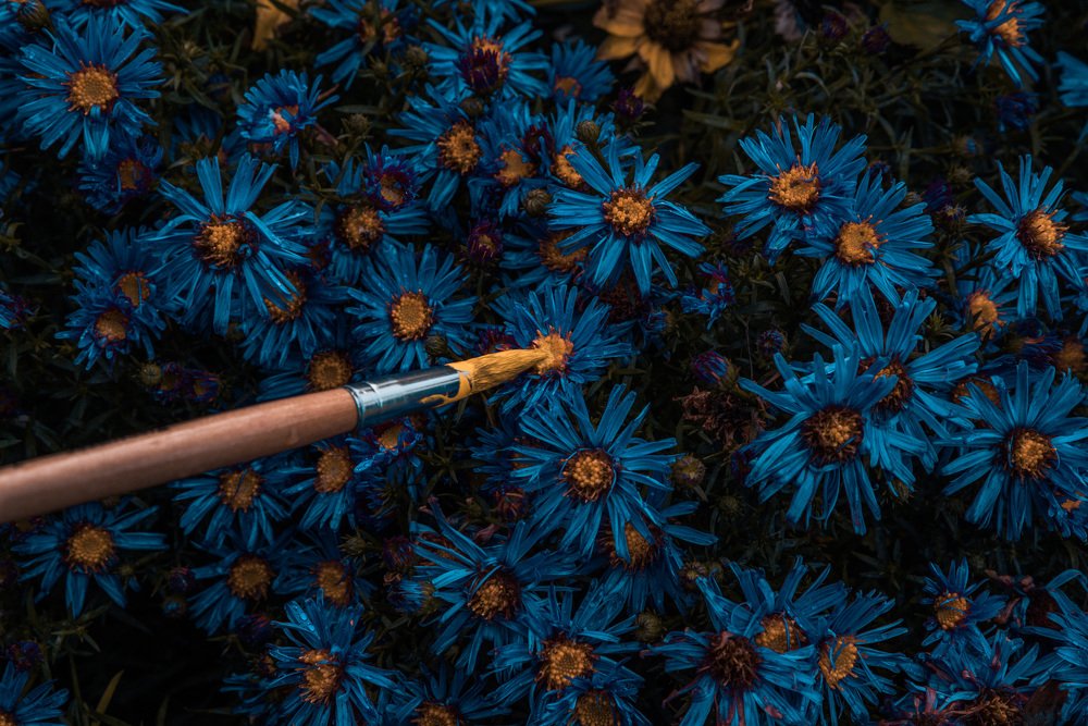 Photograph by Сергей