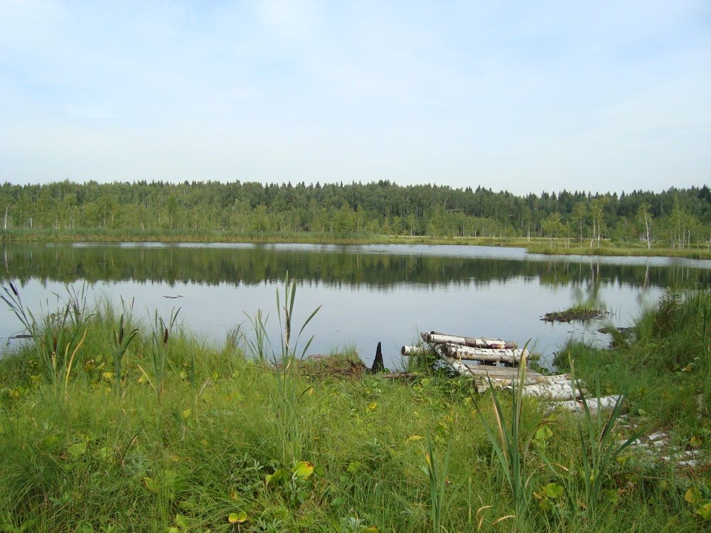 Photo #3670045