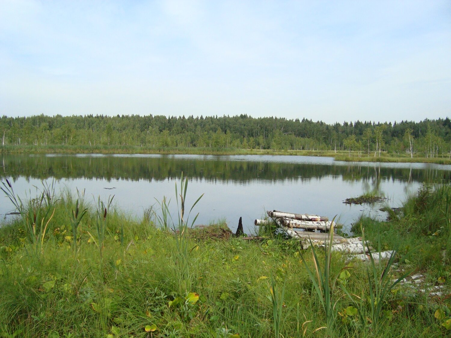 Photo #3670045