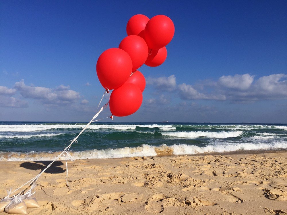 Photograph by Arkady Sandler