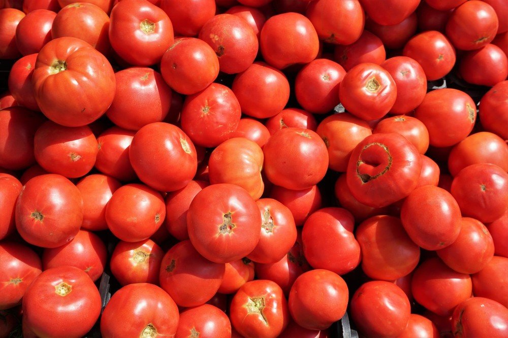 Photograph by Arkady Sandler