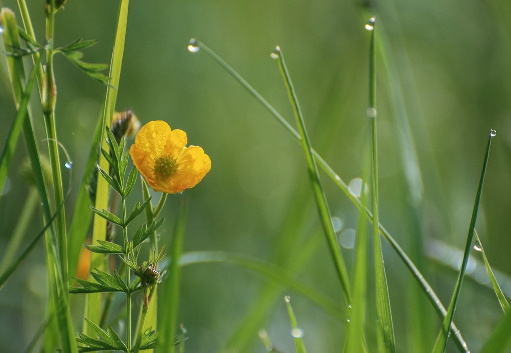 Photograph by Сергей Шварцман