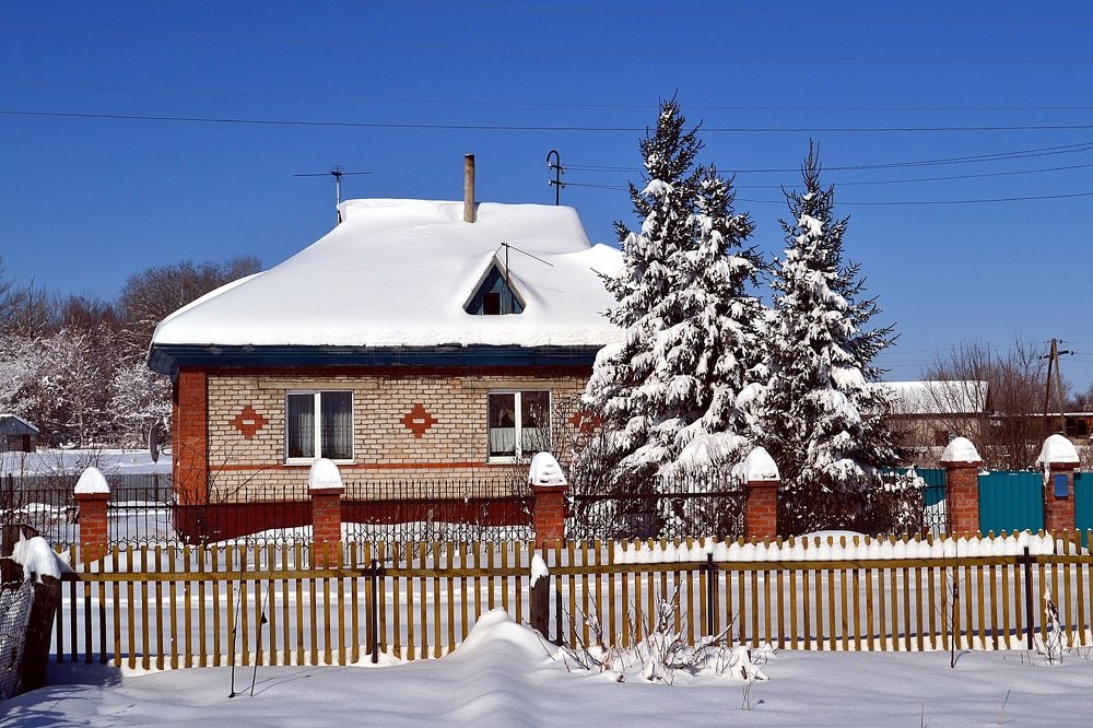 Photograph by алексей