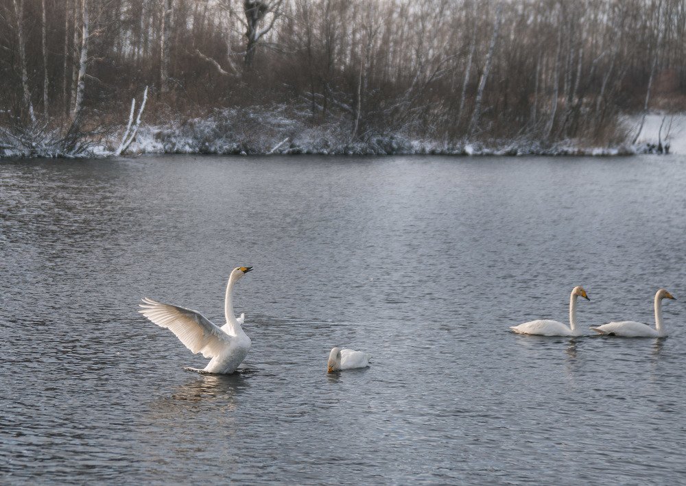 Photograph by Ирина Яук