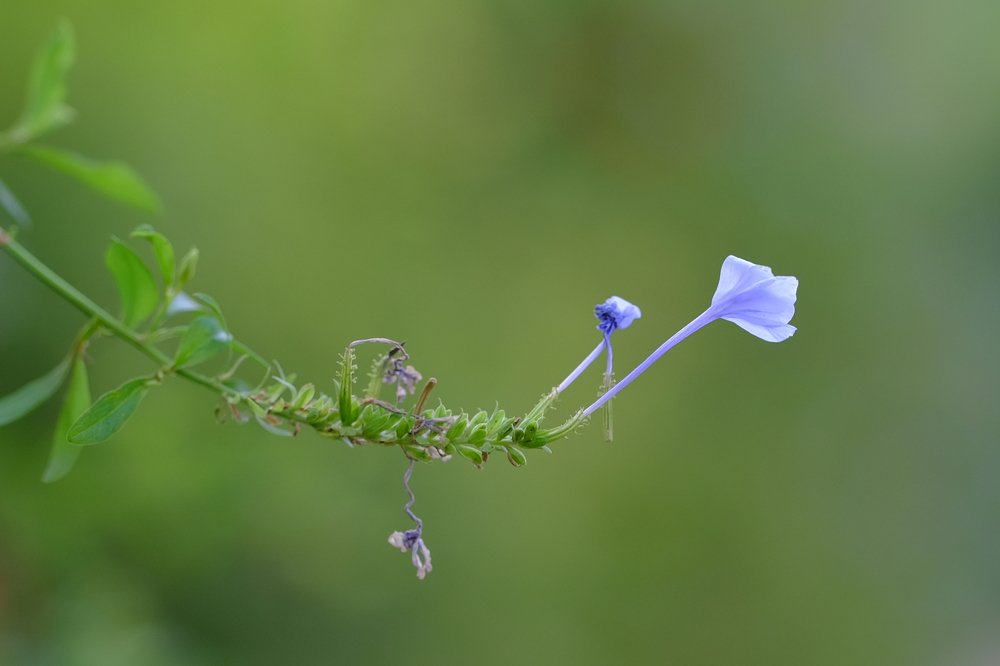 Фотография автора vladimir algazin